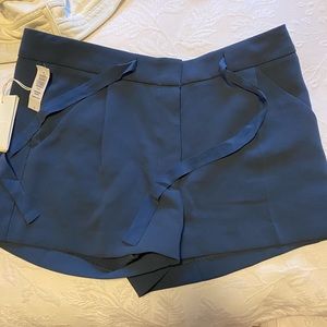 Aritzia Blue Dress Shorts
